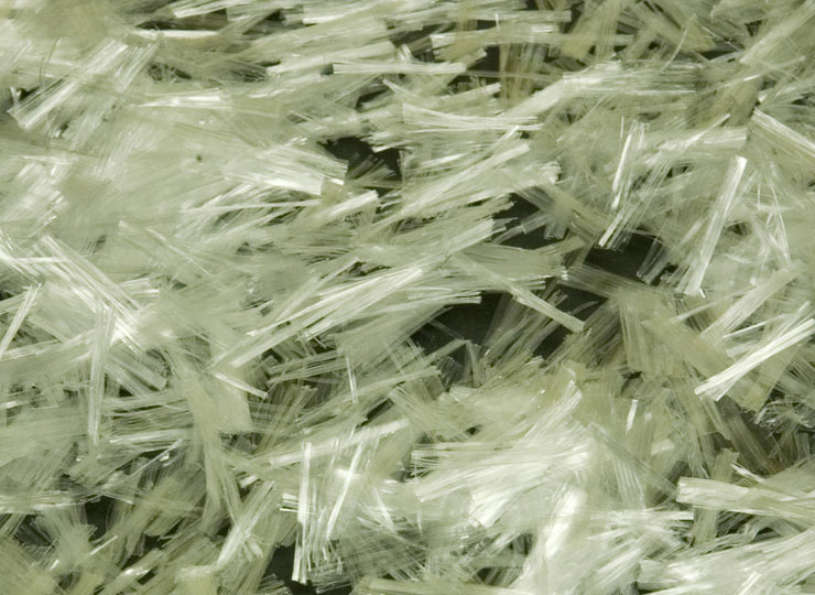 FiberMaxFI_1.jpg